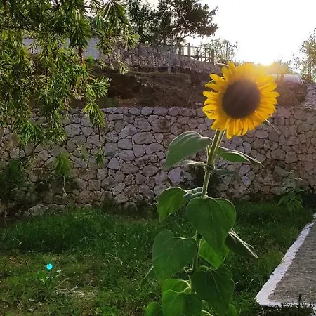 Nicolas & Regina Πανσιόν 2*